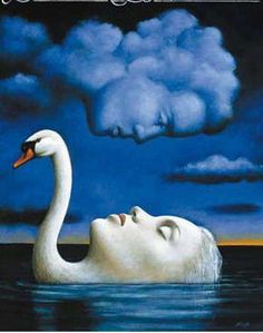 sleeping dreaming swan